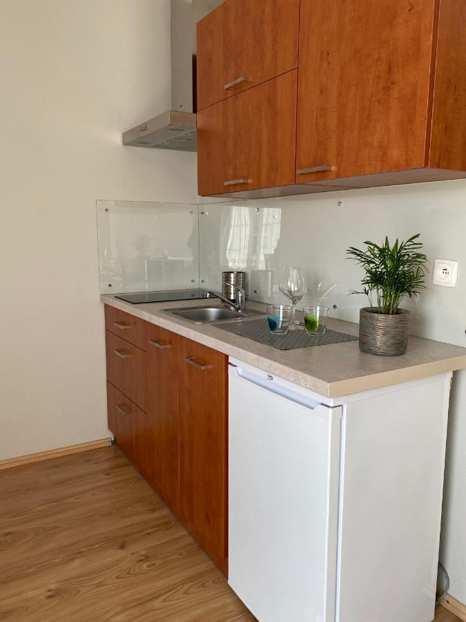 Pokoje Pod Kasztanami Jantar Ngoại thất bức ảnh